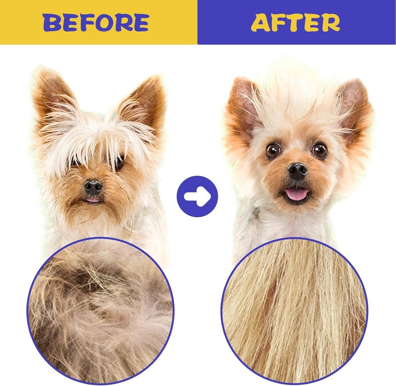 CAPHONT Flea Comb for Cats with Handle, 4 Pcs Flea Brush Tear Stain Comb Grooming Face and Matted Hair Paws Pet Lice Comb for Small, Medium & Large Cat Dog Kitten Rabbit - Image 3